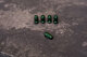 JR-Lugnuts JN2 12x1,5 Green